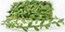 328 Ft Artificial Leaf Ribbon – Jungle Greenery Vine String Trim for Wedding, Baby Shower, Party, Home Decor, Wreaths, and DIY Crafts